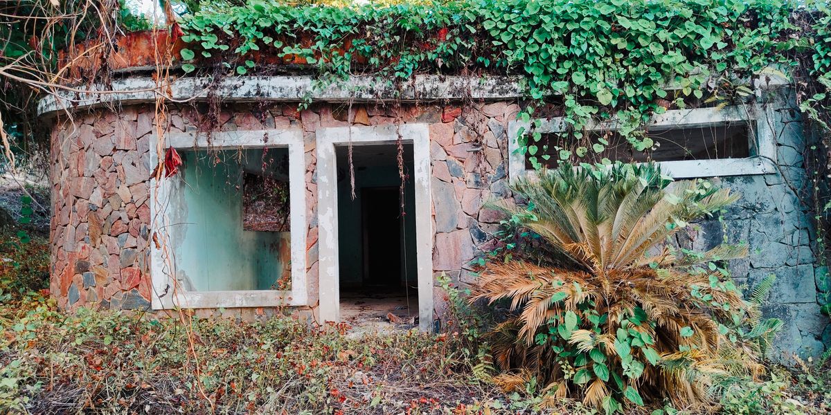 An abandoned stone house overgrown with greenery, exuding a rustic charm.