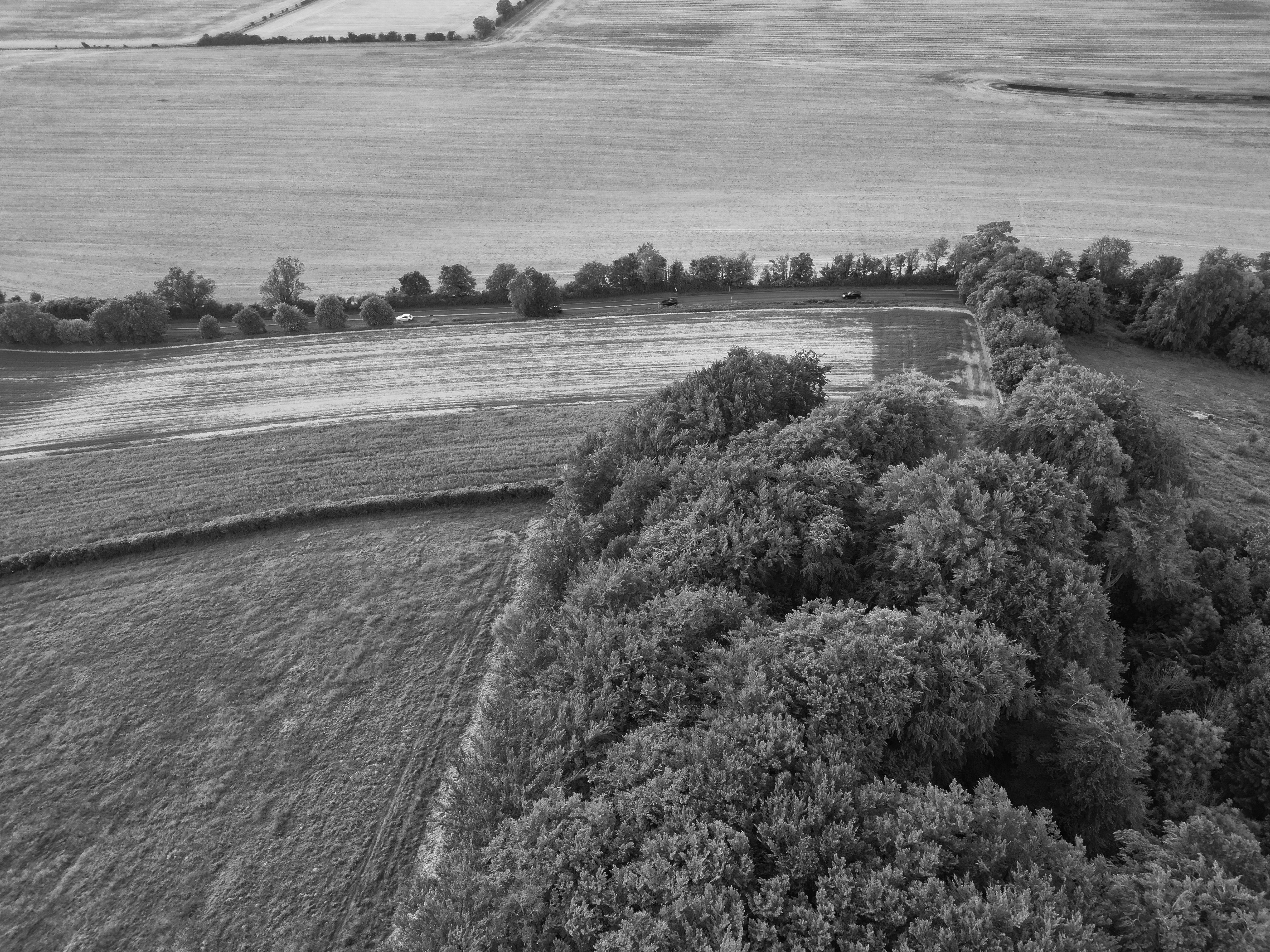 Black and white aerial landscape view of fields and forest in summer, England.