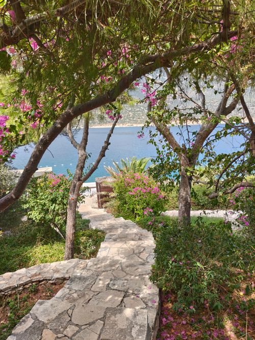 Free A peaceful stone pathway surrounded by lush greenery and vibrant pink flowers overlooking a tranquil blue sea. Stock Photo