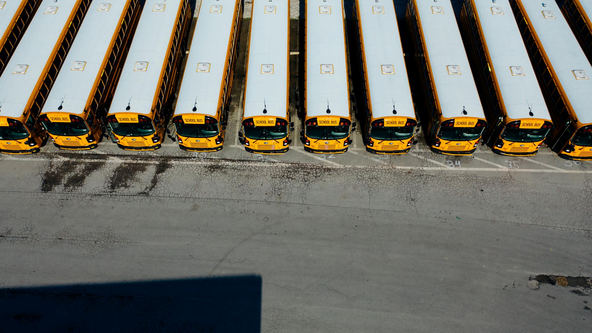 Top-down aerial shot of yellow school buses aligned in a parking lot on a sunny day.