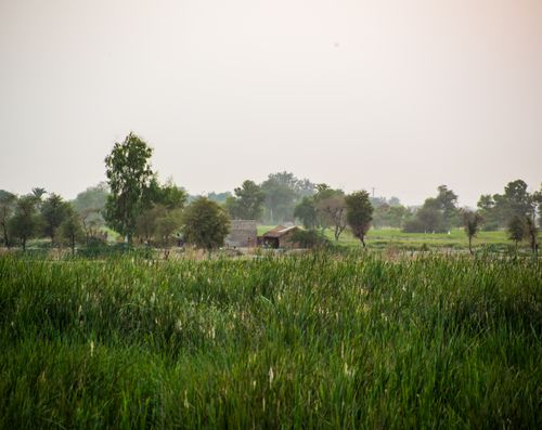 Free Scenic view of a farmhouse nestled in lush greenery, embodying rural tranquility. Stock Photo