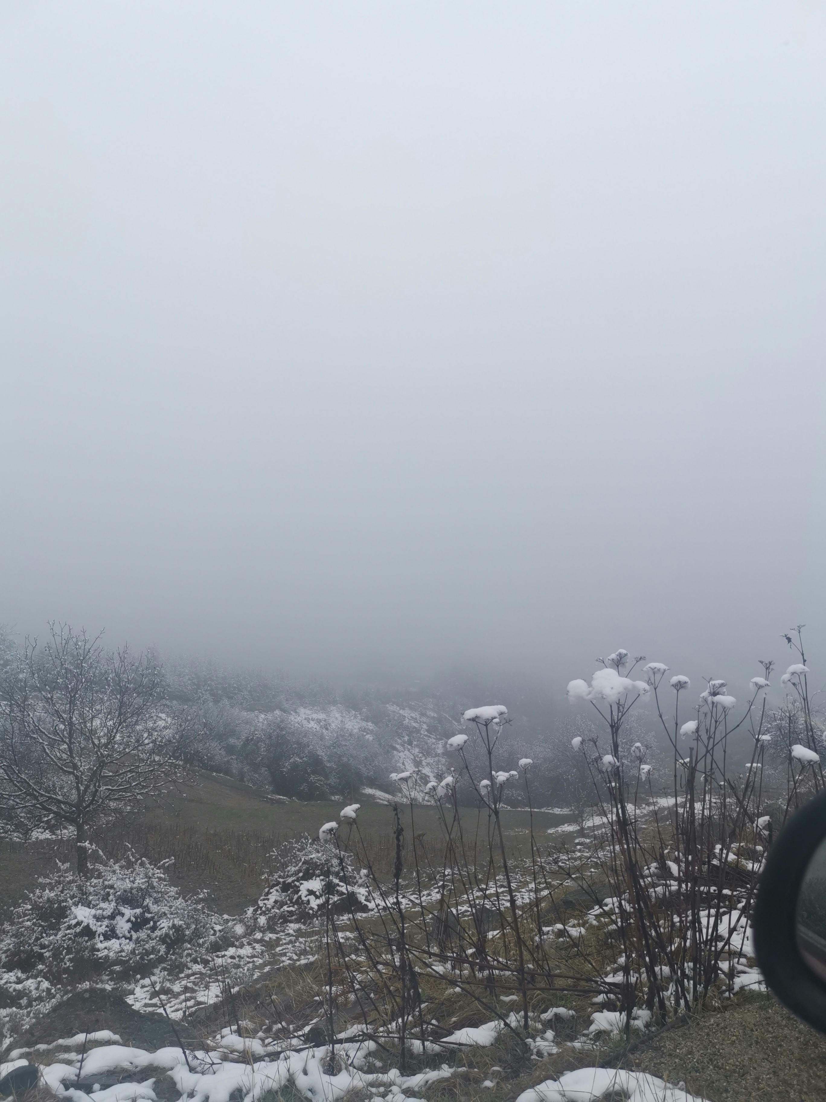 皮秒雷射：治療色素問題的新選擇