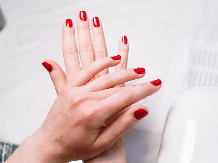 Photo by cottonbro studio