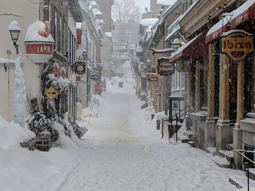 Snowcapped Street