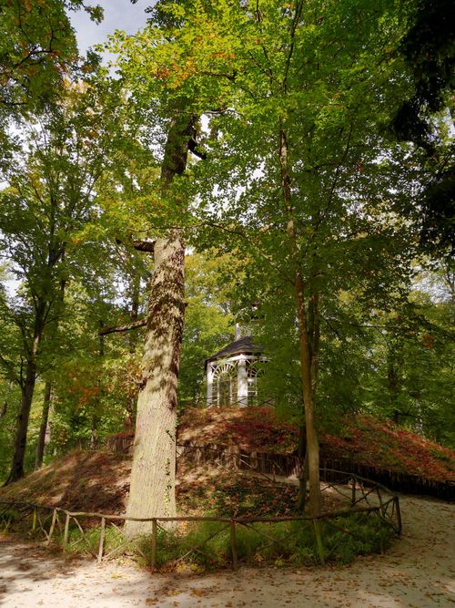 Free Tranquil forest scene with gazebo surrounded by lush greenery in Zielona Góra. Stock Photo