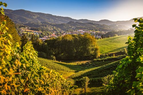 Free Beautiful vineyard landscape with hills and a village in the distance, captured during sunset. Stock Photo