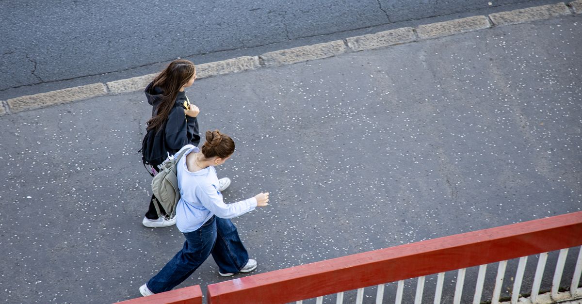 Two people walk on a city street, photographed from above, showcasing urban daily life.