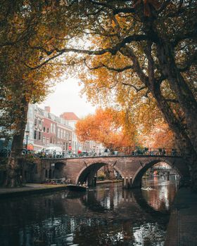 Scenic autumn view of a canal and historic bridge in Utrecht, Netherlands with vibrant foliage.
