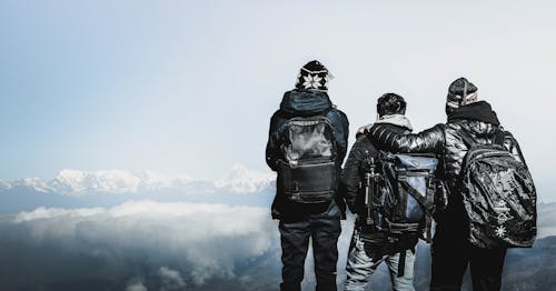 Free stock photo of best friends, beverly hills, blue mountains