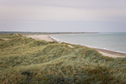 Free Explore the serene coastal dunes and beach at Fjerritslev, Denmark, with lush greenery and soothing ocean views. Stock Photo