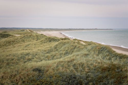Free Serene view of grassy dunes leading to a tranquil beach at Fjerritslev, Denmark. Stock Photo