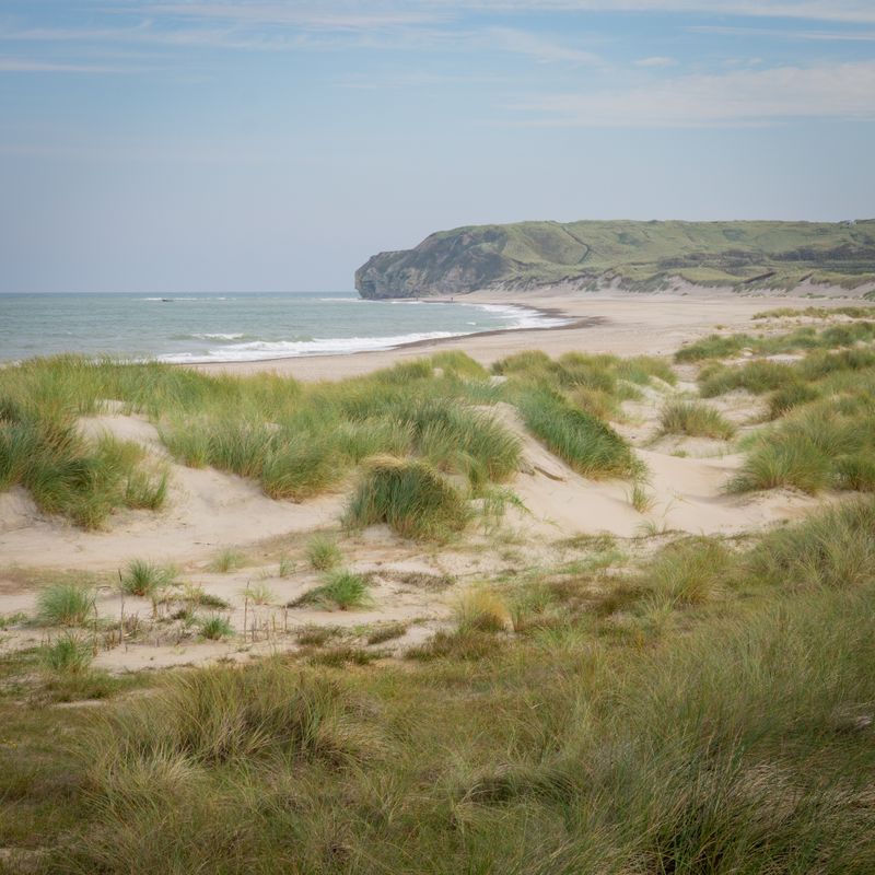 Grassy dunes running down to a wide beach and a green headland