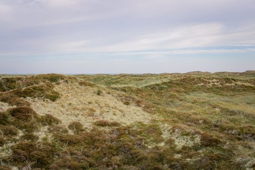 Free Peaceful view of coastal sand dunes under a clear sky, capturing nature's serenity. Stock Photo