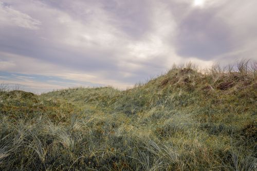 Free Expansive view of grassy coastal sand dunes with a cloudy sky, evoking tranquility. Stock Photo