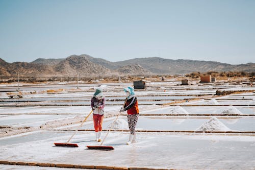 People Harvesting Salt