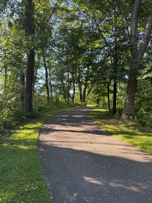 Free A tranquil sunny pathway meandering through lush green trees in a serene forest setting. Stock Photo