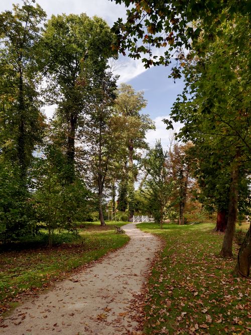 Free Tranquil pathway in autumn park in Zielona Góra, Poland, lined with colorful trees and fallen leaves. Stock Photo