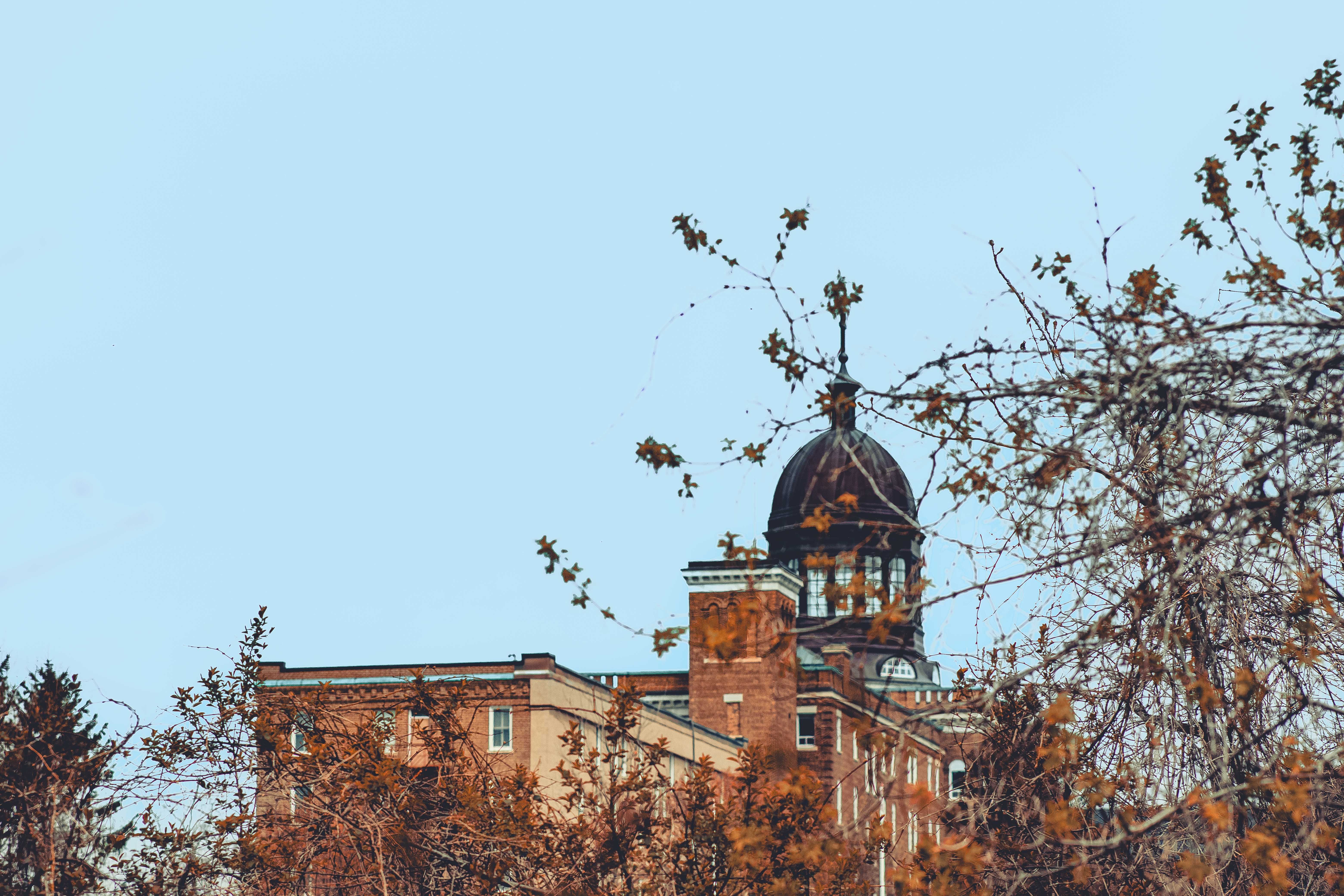 Landmarks in Healy