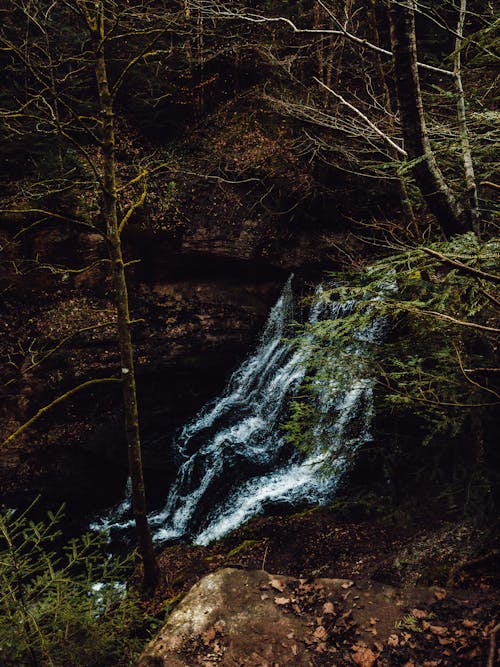 Kostenlos Wasserfälle Im Wald Stock-Foto