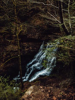宁静的瀑布穿过茂密的绿荫森林，浓缩了大自然的静谧之美