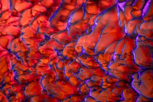 Free Dynamic abstract artwork featuring vibrant red and purple textured organic shapes. Stock Photo