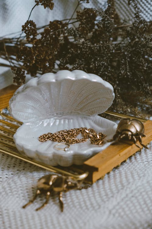 Gold Necklace on Ceramic Sea Shell