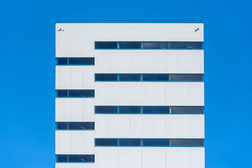 Free A minimalist photo of a modern white building with blue-tinted windows against a vibrant blue sky. Stock Photo