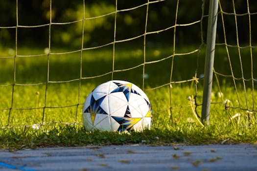 Close-up of a soccer ball resting on a grass field against the goal net in natural daylight.