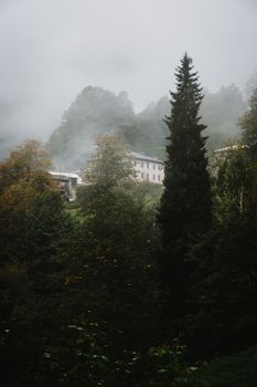 A serene mist-covered forest in Çamlıhemşin, Rize, featuring lush greenery and distant houses.