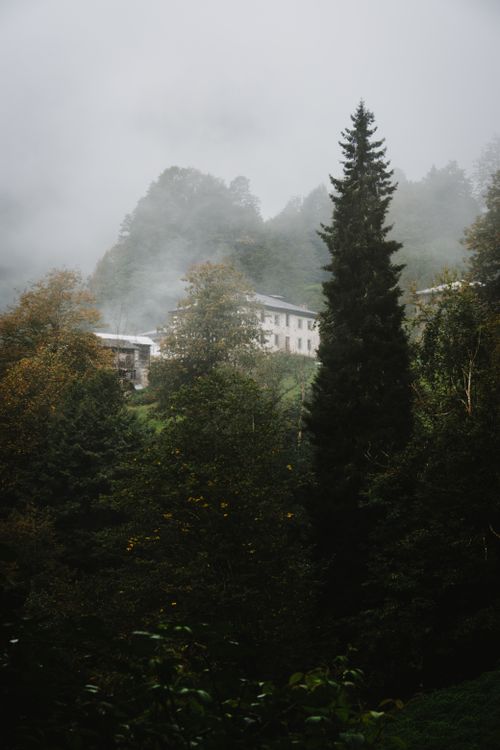 Free A serene mist-covered forest in Çamlıhemşin, Rize, featuring lush greenery and distant houses. Stock Photo