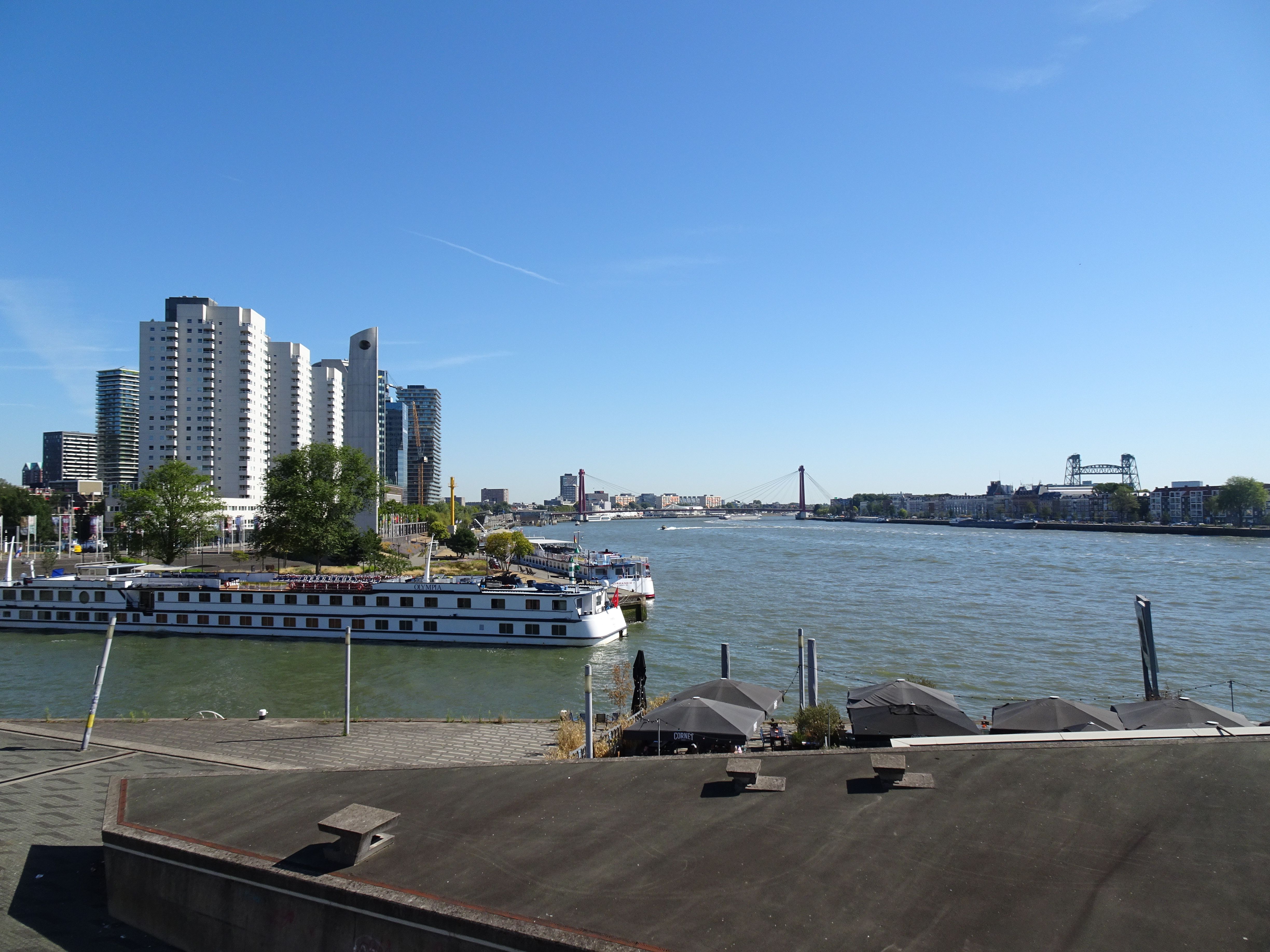 A scenic view of Rotterdam's skyline with a river, bridge, and modern buildings in South Holland, Netherlands.