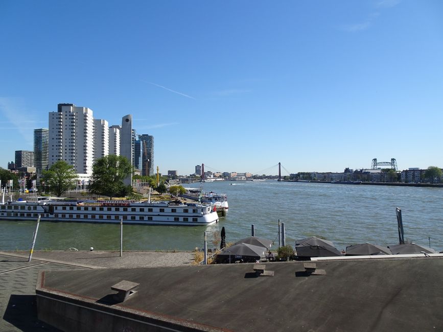 A scenic view of Rotterdam's skyline with a river, bridge, and modern buildings in South Holland, Netherlands.