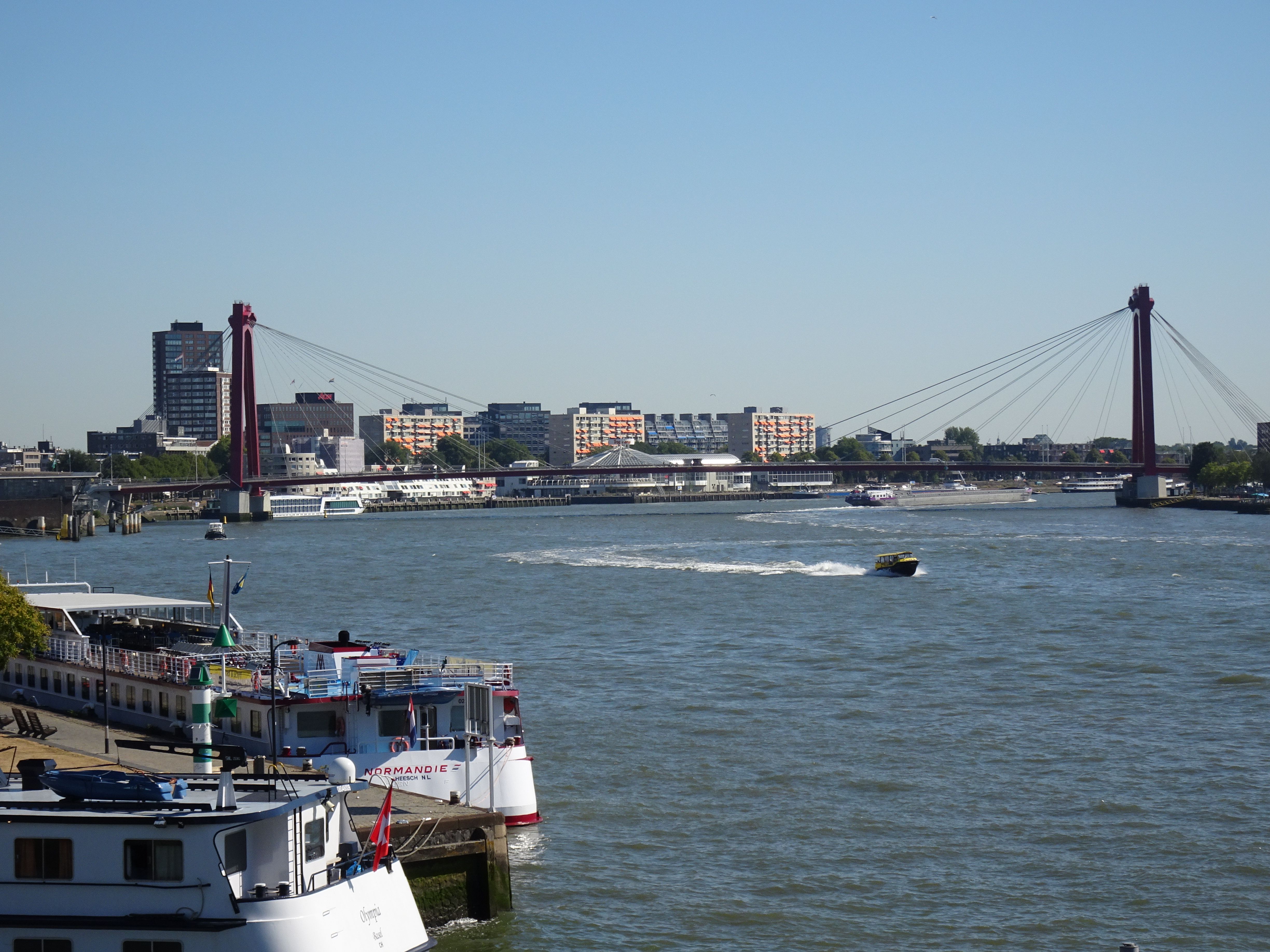 Scenic view of Rotterdam's Willemsbrug with boats on the Nieuwe Maas river under a clear summer sky.