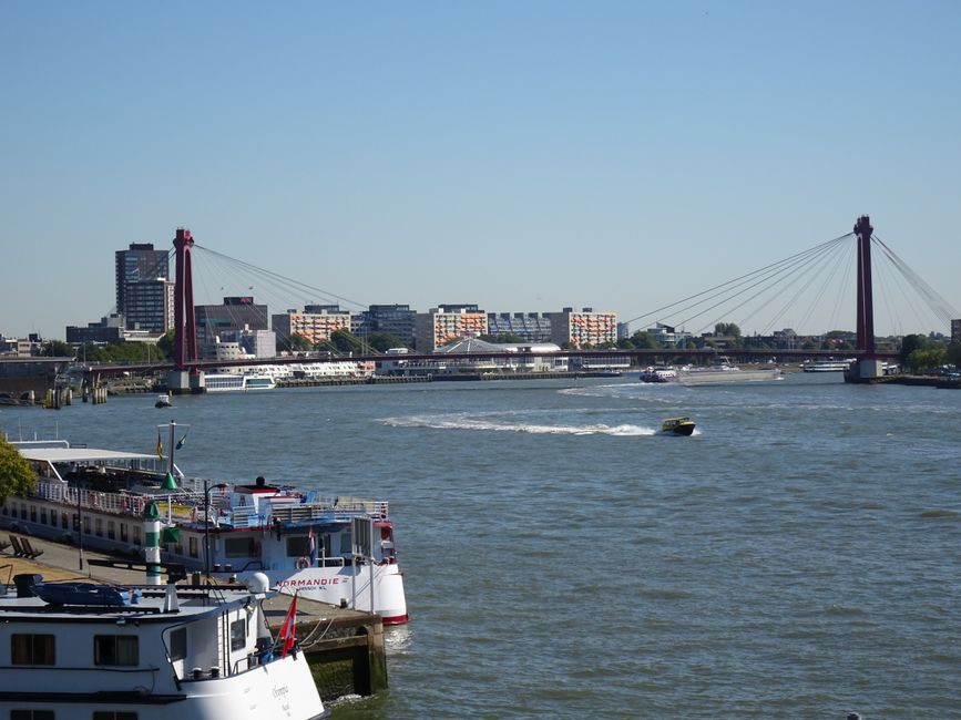 Scenic view of Rotterdam's Willemsbrug with boats on the Nieuwe Maas river under a clear summer sky.
