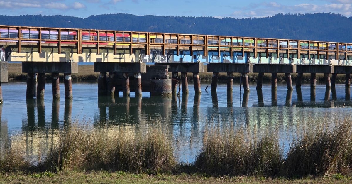 Vibrantly decorated bridge with graffiti spans a tranquil slough reflecting clear skies, perfect for nature and urban themes.