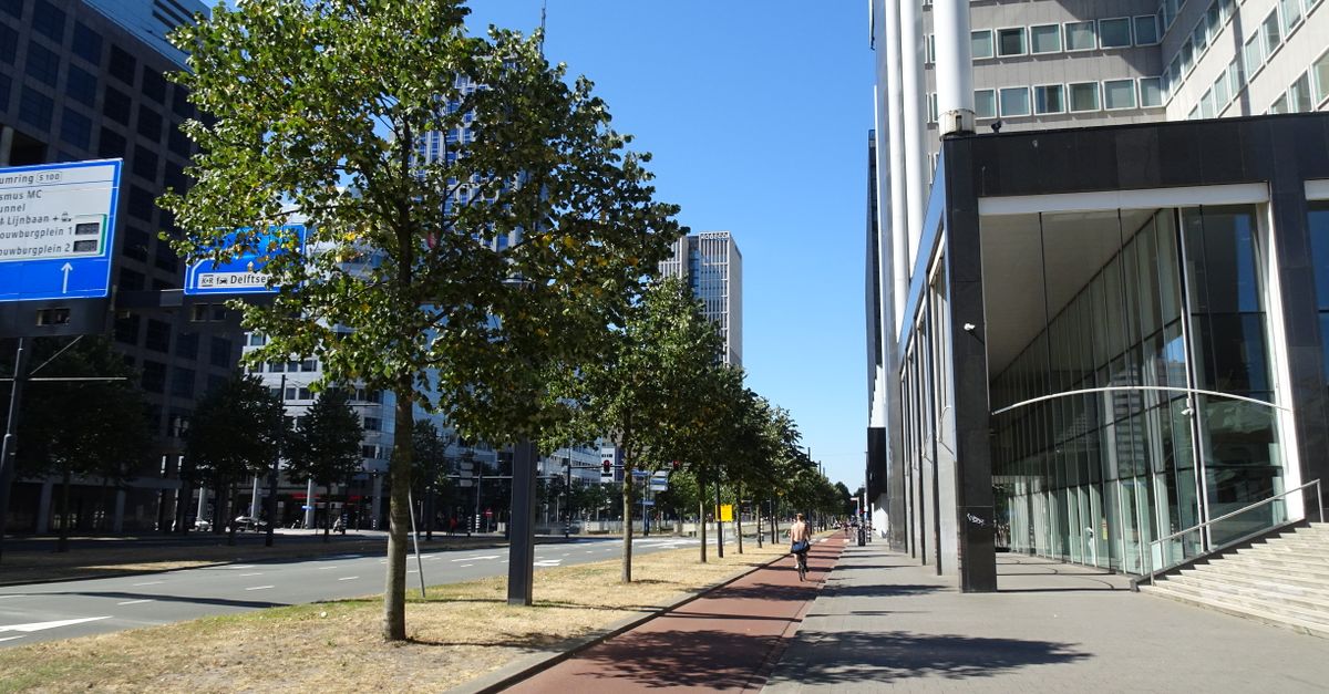 Explore the sleek urban design of Rotterdam's modern buildings and tree-lined streets under a clear blue sky.