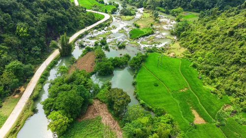 Free Captivating aerial shot of vibrant green fields and winding river in Đoài Dương, Vietnam. Stock Photo