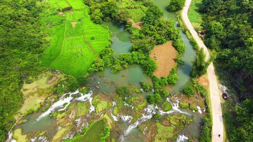 Free Aerial shot of Đoài Dương in Cao Bằng, Vietnam showing vibrant green fields and winding river. Stock Photo