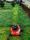lawn mowing