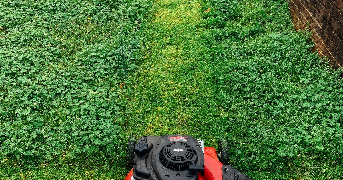 Lawn Care services in Florida