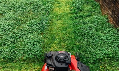Lawn Care services in Florida