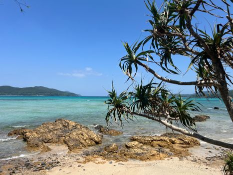 Peaceful beach view featuring clear blue water, rocky shoreline, and tropical plants under a sunny sky.