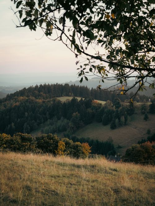 Free Tranquil view of rolling hills and forests in Lower Silesian Voivodeship, Poland. Stock Photo