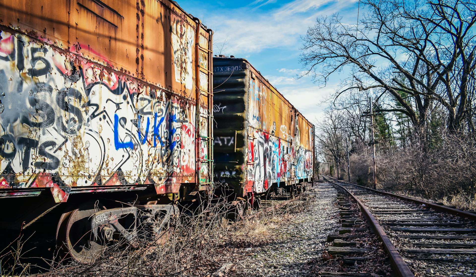 Colorful graffiti covers rusted train cars on an abandoned railway track outdoors.
