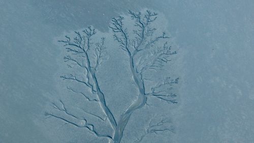 Free Aerial view of ice patterns resembling tree branches on frozen terrain. Stock Photo