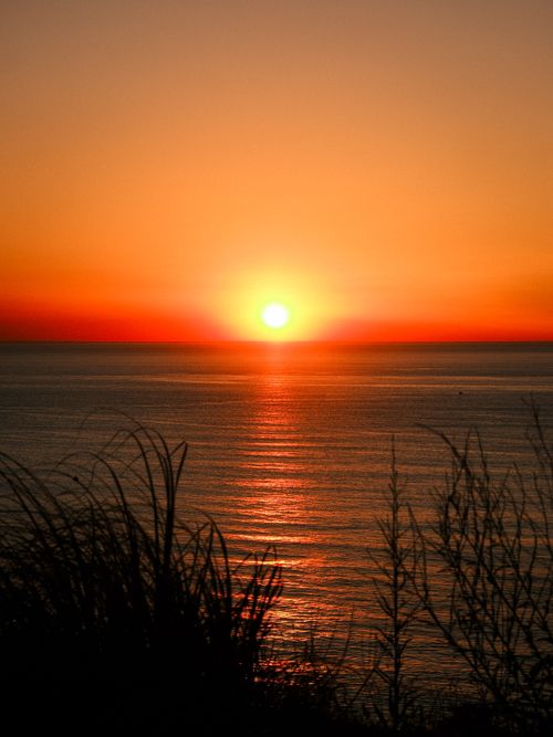 Free Captivating ocean sunset with vibrant orange hues and silhouetted foreground foliage. Stock Photo