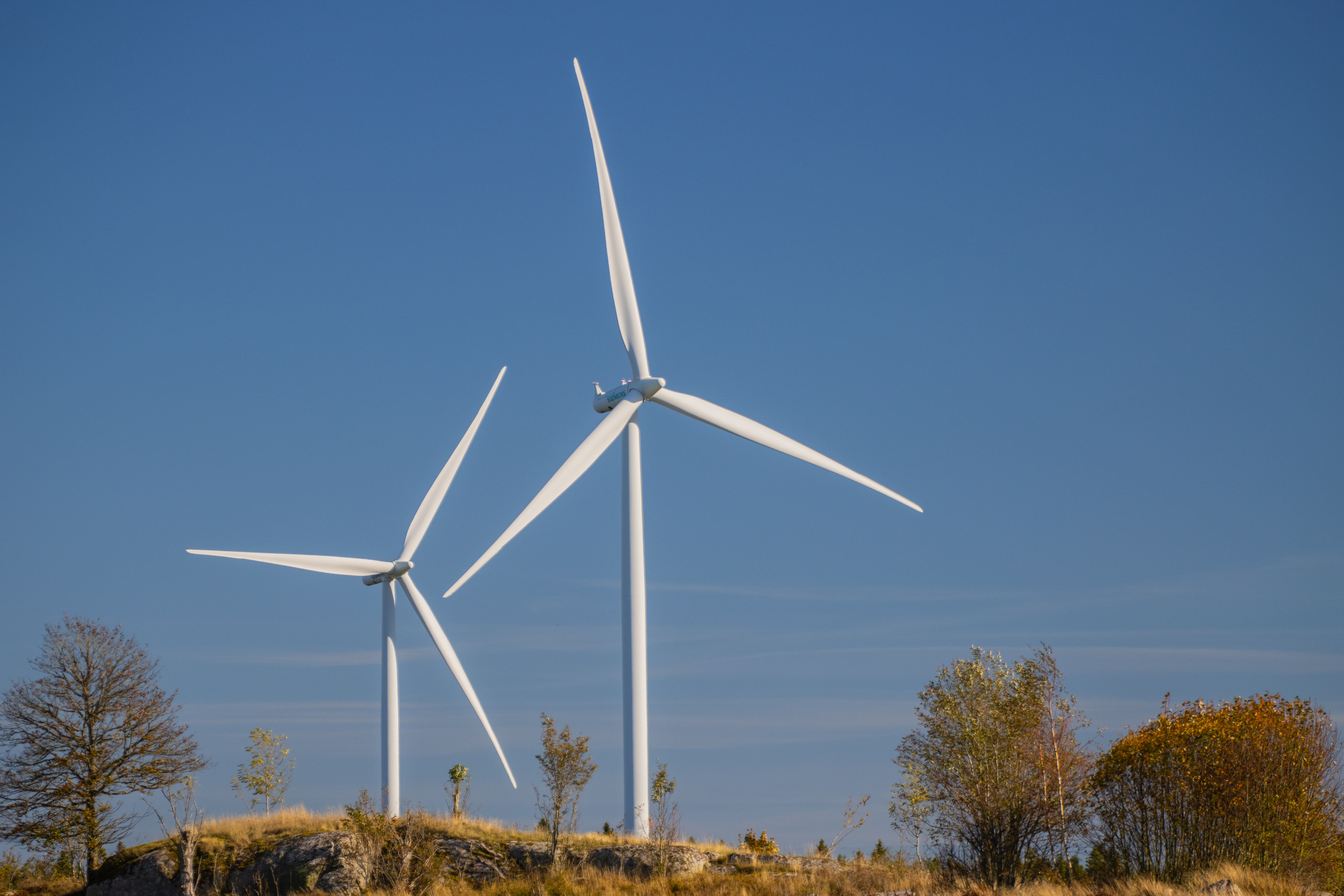 Bringing the Sustainability Expo to Your Town