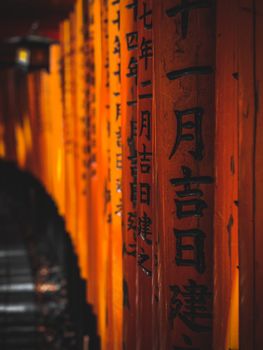 日本京都伏见稻荷大社鸟居门的特写，充满活力