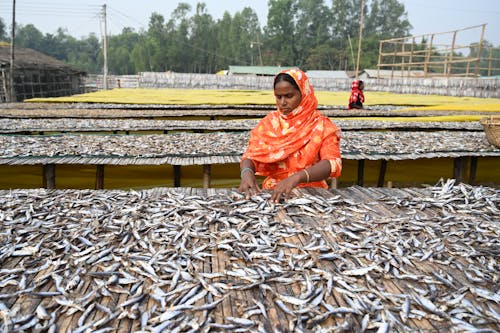 Woman Working on Fish Farm
