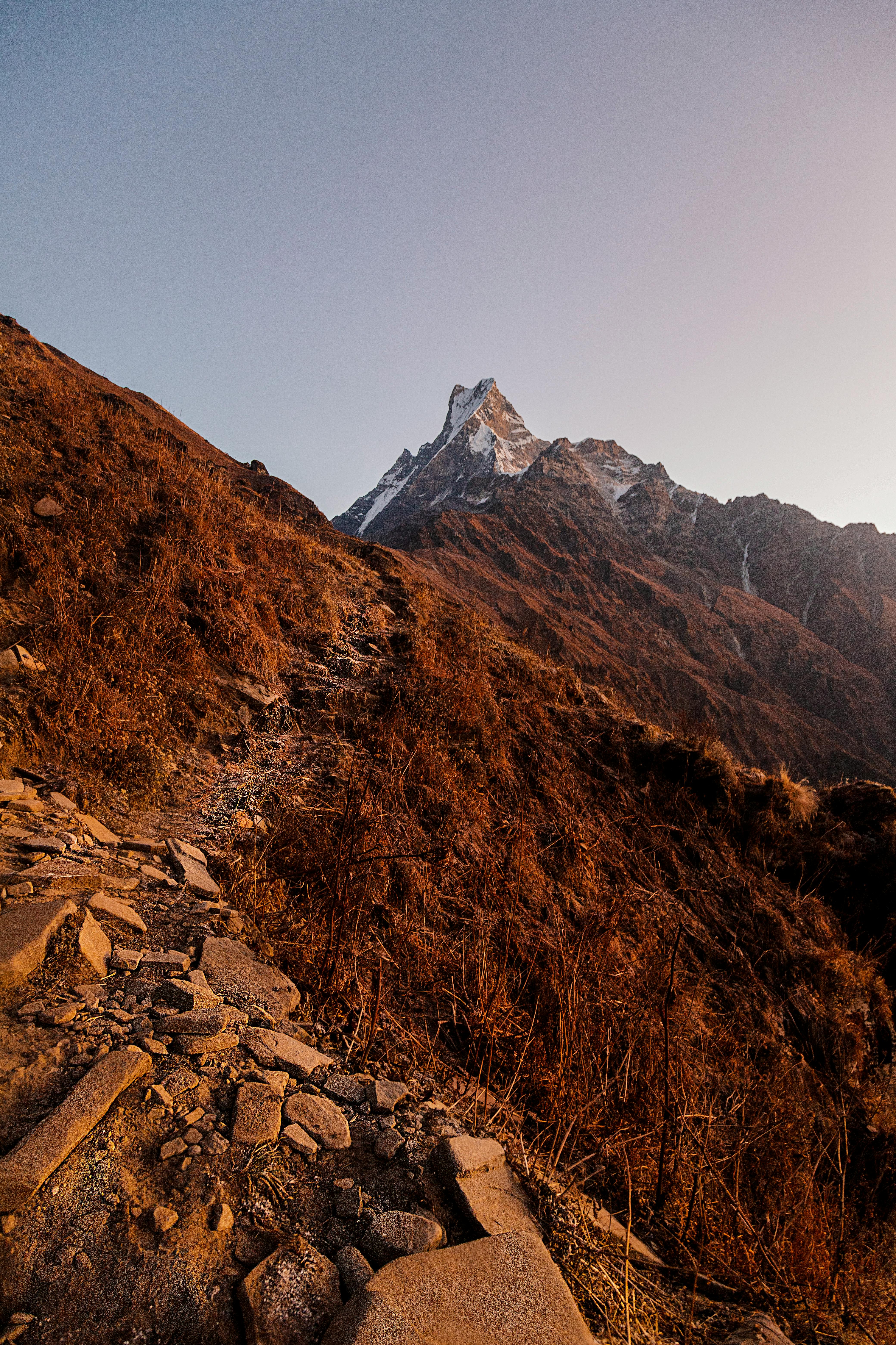 Trekking the Himalayas: A Guide to High-Altitude Adventures